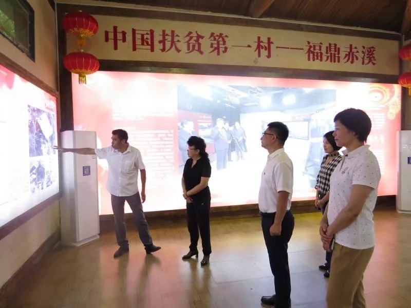 柳红主任赴福鼎调研卫生健康工作