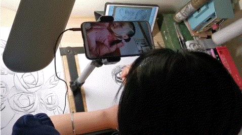 “红马甲”护“白衣” 志愿青春暖人心