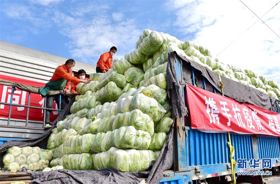 600吨福建蔬菜驰援武汉