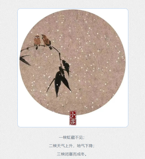 今日小雪:薄雪微扬朔气清,苍松枝头翠凝寒 _ 健康生活 _ 省卫健委